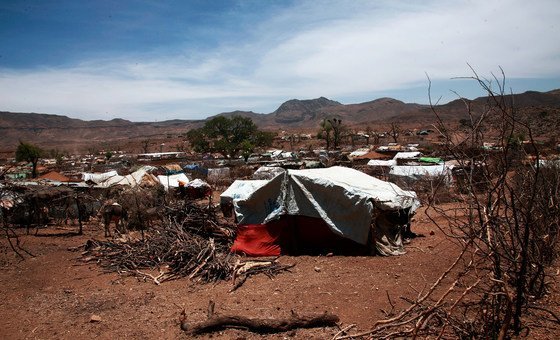 Sudan: Women and girls abducted, held ‘in slave-like conditions’ in Darfur